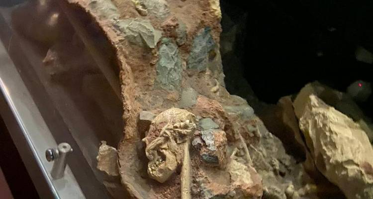 Cradle of HumanKind – Maropeng and Sterkfontein Caves - Africa Moja Tours & Transfers 2