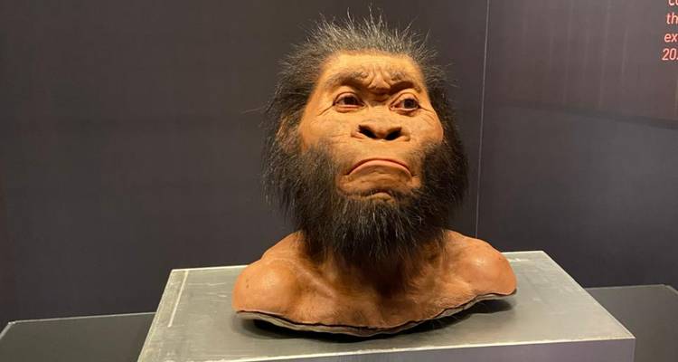 Cradle of HumanKind – Maropeng and Sterkfontein Caves - Africa Moja Tours & Transfers 3