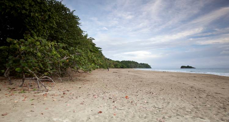 D'Arenal à la côte caraïbe - Elemento Natural Costa Rica 4