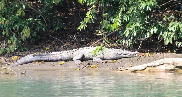 D'Arenal à la côte caraïbe - Elemento Natural Costa Rica 6