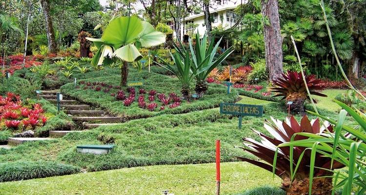 Pura Vida - Le Costa Rica à fleur de peau (voyage privé) (10 destinations) - MEIERS WELTREISEN 4