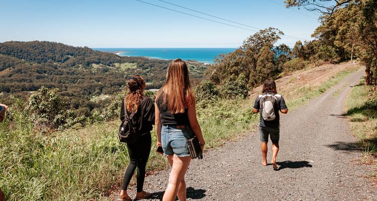 Sydney à Brisbane : 8 jours d'excursion KOALA SELECT (en chambre double ou individuelle) - Stray Australia  9