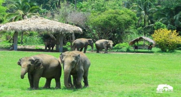 Voyages en Thaïlande 13 jours / 12 nuits - Thailand Journeys 10