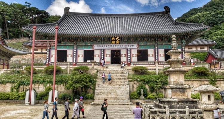 13 Days Japan& South Korea Cultural Tour  (private guide and driver）Family Tour  Customizable - UME Travel Co. Ltd 2