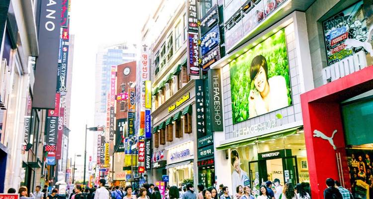 13 Days Japan& South Korea Cultural Tour  (private guide and driver）Family Tour  Customizable - UME Travel Co. Ltd 3