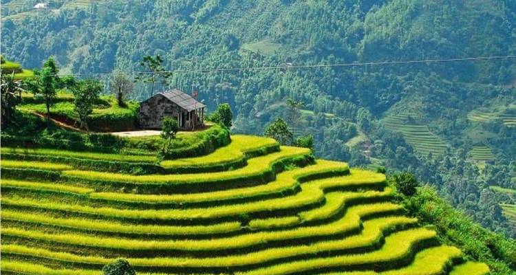 Sapa-Halong Bay 5-Day Tour 2025-2026 - Ha Long Bay Lux Cruises Tours 5