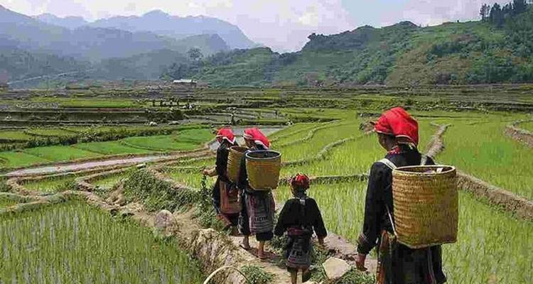 Sapa-Halong Bay 5-Day Tour 2025-2026 - Ha Long Bay Lux Cruises Tours 2