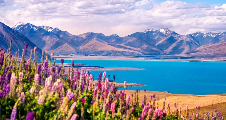 Fjords, Volcanoes & Encounters - Christchurch to Auckland - Miller Reisen 1