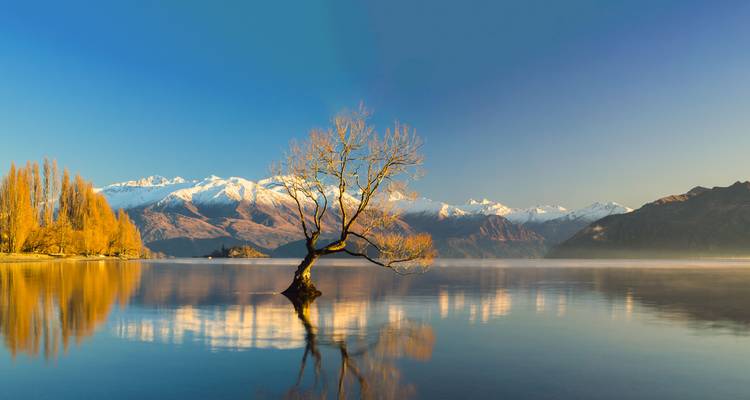 Fjords, Volcanoes & Encounters - Christchurch to Auckland - Miller Reisen 6