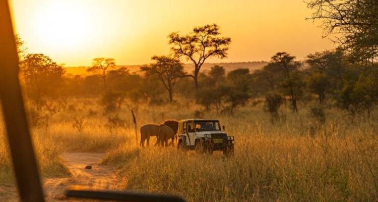 3-Day Elephants Plains Safari Adventure - Knap Tours Limited 1