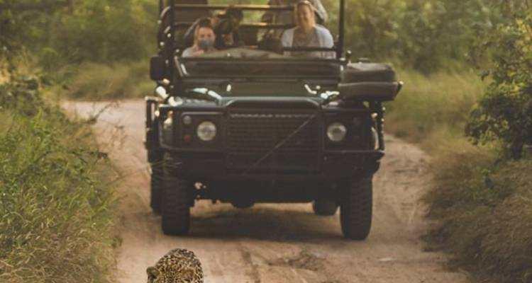 3-Day Elephants Plains Safari Adventure - Knap Tours Limited 2