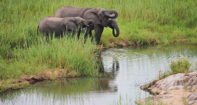 3 Day Kruger Safari With Panorama Route from Johannesburg - Africa Moja Tours & Transfers 3