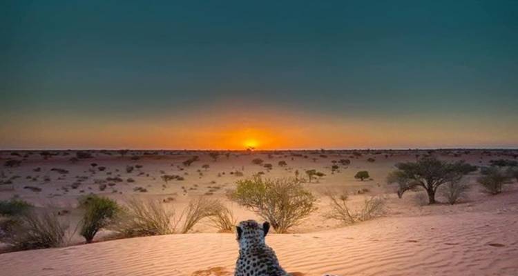 3-Day Sossusvlei Budget Safari Tour in Namibia - Knap Tours Limited 5