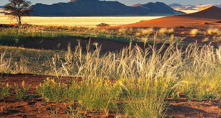 3-Day Sossusvlei Budget Safari Tour in Namibia - Knap Tours Limited 6