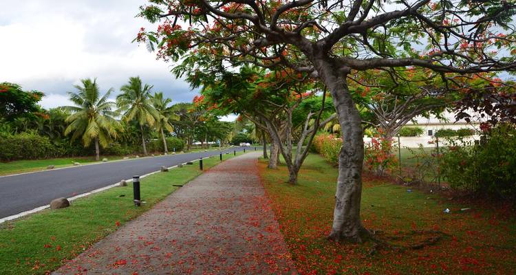 Tropical Indulgence at Warwick Fiji – 5 Days of Luxury, Relaxation & Adventure - Across Caribbean Excursions  2