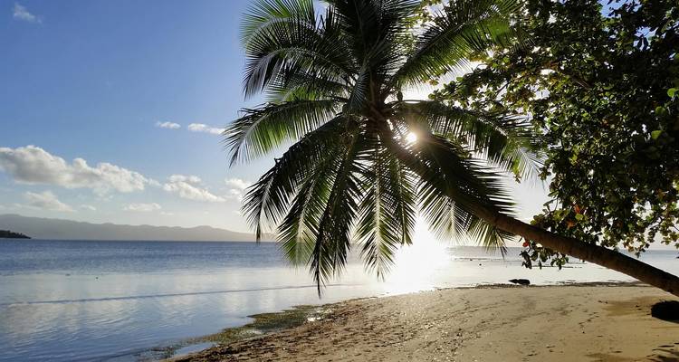 Tropical Indulgence at Warwick Fiji – 5 Days of Luxury, Relaxation & Adventure - Across Caribbean Excursions  7