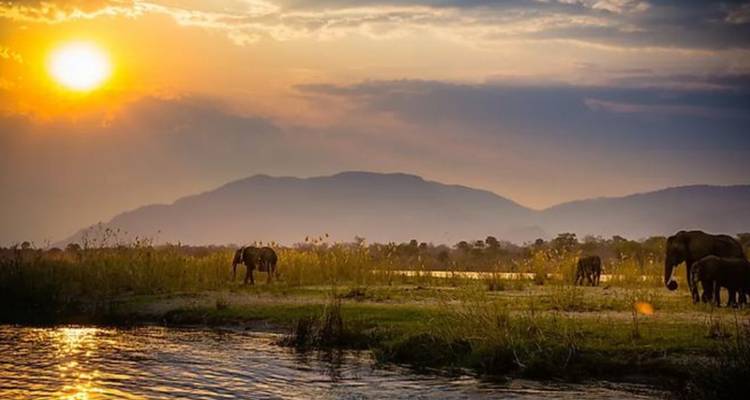 3-Day Victoria Falls and Chobe National Park Combo Safari - Knap Tours Limited 5