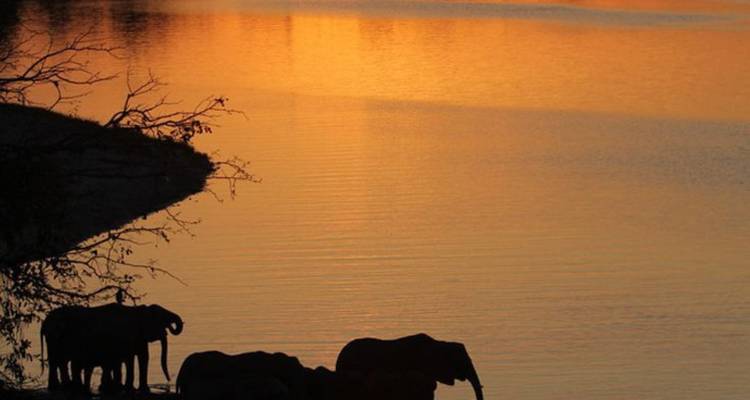 3-Day Victoria Falls and Chobe National Park Combo Safari - Knap Tours Limited 7