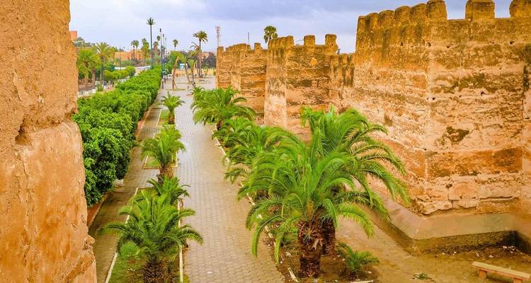 City walls with palm trees in a Moroccan town.