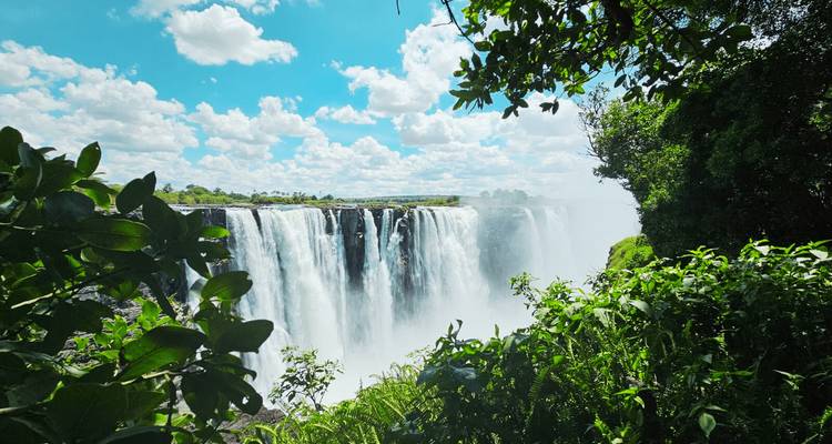 Une vue vibrante des chutes Victoria encadrées par une végétation luxuriante sous un ciel dégagé.
