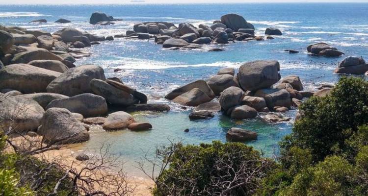 4 jours de safari au Cap et sur la Route des jardins - Knap Tours Limited 4