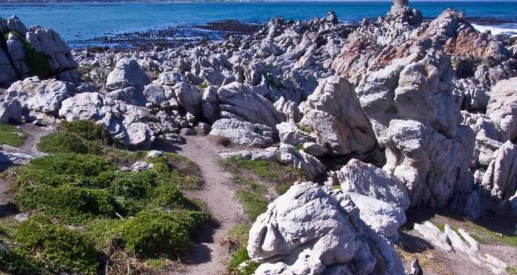 4 jours de safari au Cap et sur la Route des jardins - Knap Tours Limited 6