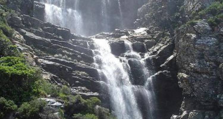 4 jours de safari au Cap et sur la Route des jardins - Knap Tours Limited 7