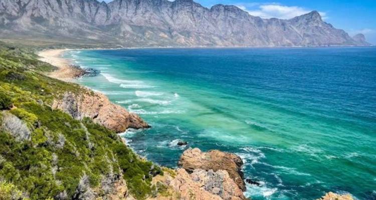 4 jours de safari au Cap et sur la Route des jardins - Knap Tours Limited 9
