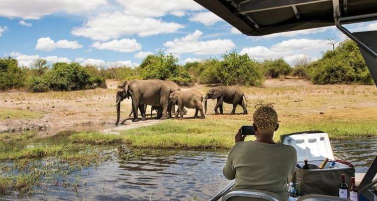 Circuit de 4 jours dans le parc de Chobe (Big Five) au Botswana et aux chutes Victoria - Knap Tours Limited 5