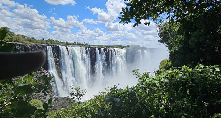 Victoria Falls seen through greenery with a finger partially in view.