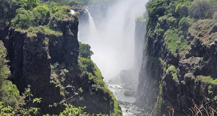 Victoria Falls in full flow with the gorge visible.
