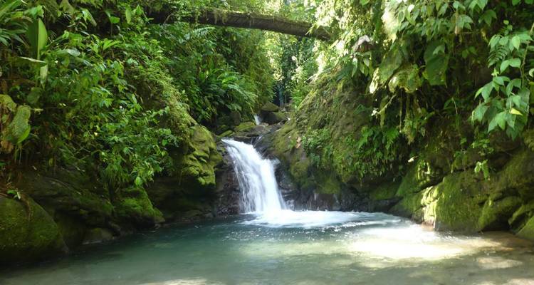 Visite privée de Mindo depuis Quito - Latin Trails 5