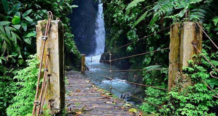 Visite privée de Mindo depuis Quito - Latin Trails 6