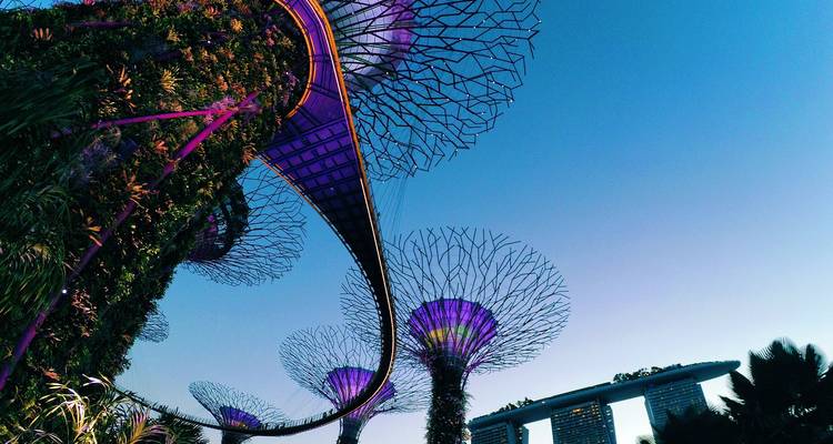 7 Days in Singapore: A Journey Through Greenery and Glamour - East Gate Tours LTD 3