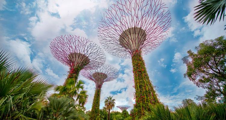 7 Days in Singapore: A Journey Through Greenery and Glamour - East Gate Tours LTD 6