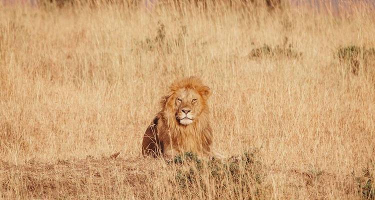 L'Afrique englobée vers le nord - Pure African Expeditions 1