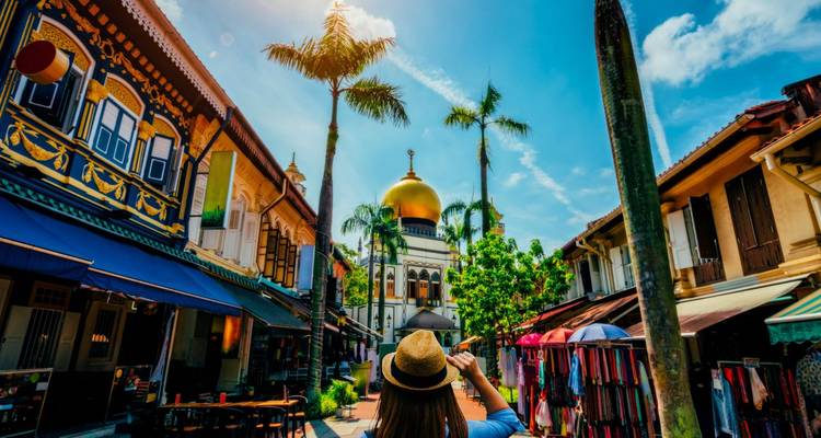 3 Days Singapore City Highlights to Merlion Park, Gardens by the Bay and Food Tour - Discova 1