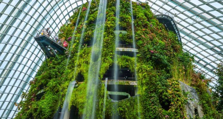 3 Days Singapore City Highlights to Merlion Park, Gardens by the Bay and Food Tour - Discova 6