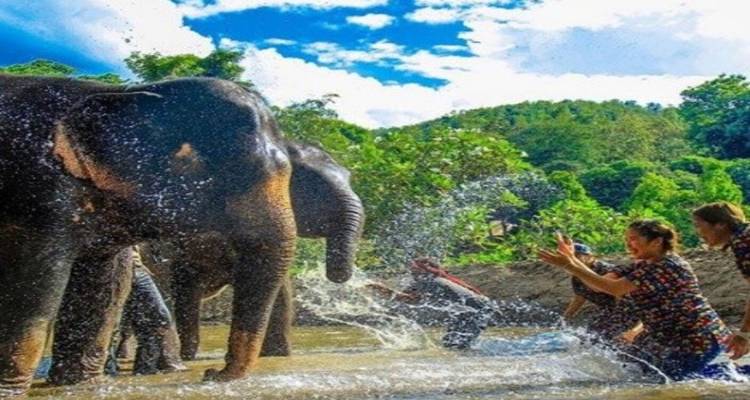 Classic Thailand - De Bangkok à Chiang Rai, Chiang Mai et Phuket 11 Jours 10 Nuits - Thailand Journeys 5