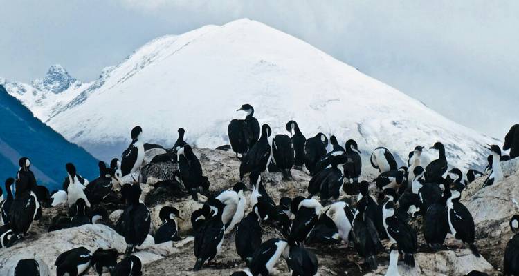 Santiago to Rio in 14 Days – 5-Star Journey Through South America's Icons - Wonderful Holidays UK 3