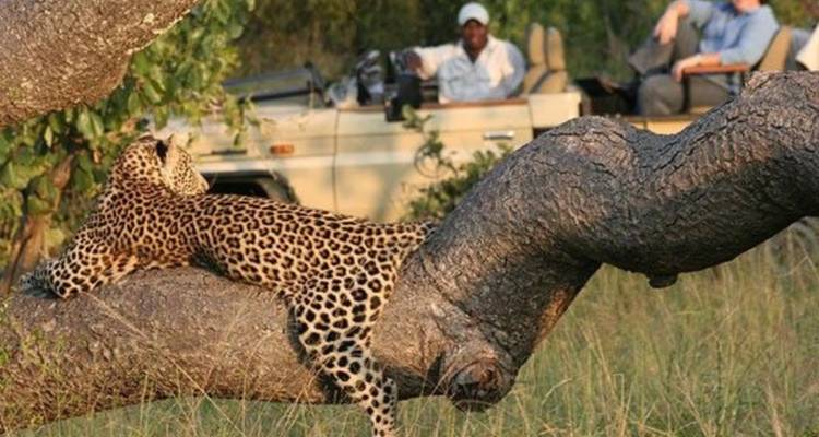 4 jours au Umkumbe Safari Lodge - Knap Tours Limited 5