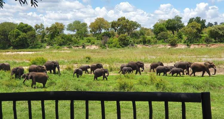 4 jours au Umkumbe Safari Lodge - Knap Tours Limited 1