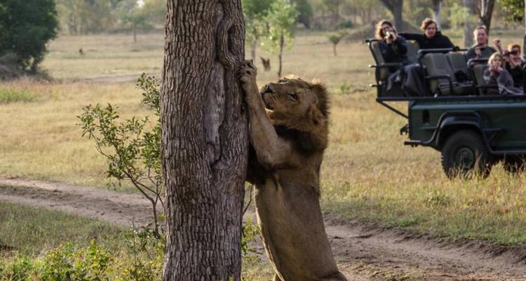 4 jours au Umkumbe Safari Lodge - Knap Tours Limited 3
