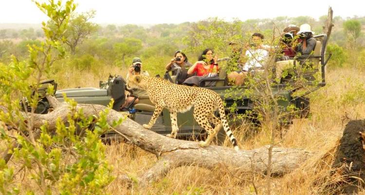 4 jours au Umkumbe Safari Lodge - Knap Tours Limited 4