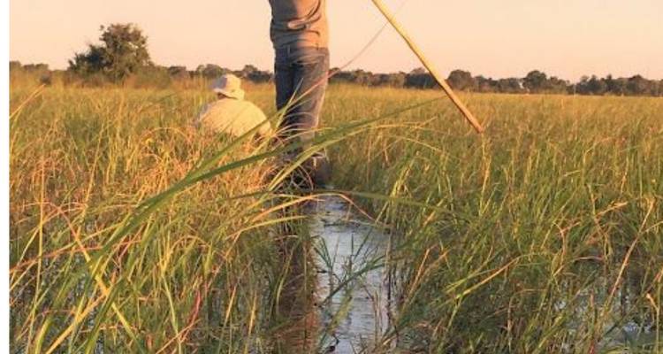 Safari de 4 jours avec les Big Five de Chobe et les mokoro du delta de l'Okavango - Knap Tours Limited 1