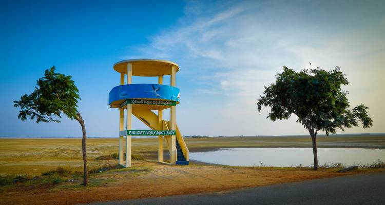 Structure d'observation au sanctuaire d'oiseaux de Pulicat avec un ciel dégagé.