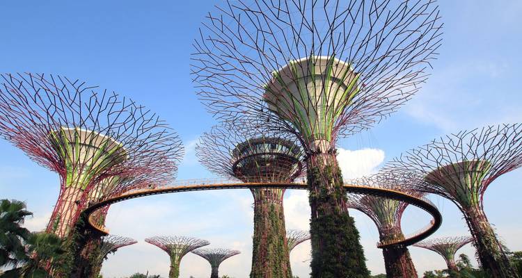 Supertree Grove in den Gardens by the Bay, Singapur.