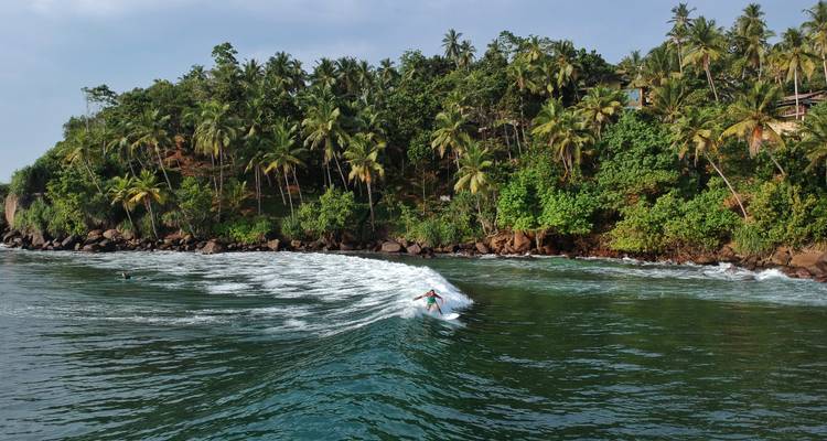 Surfeur chevauchant une vague avec de la végétation tropicale sur le rivage