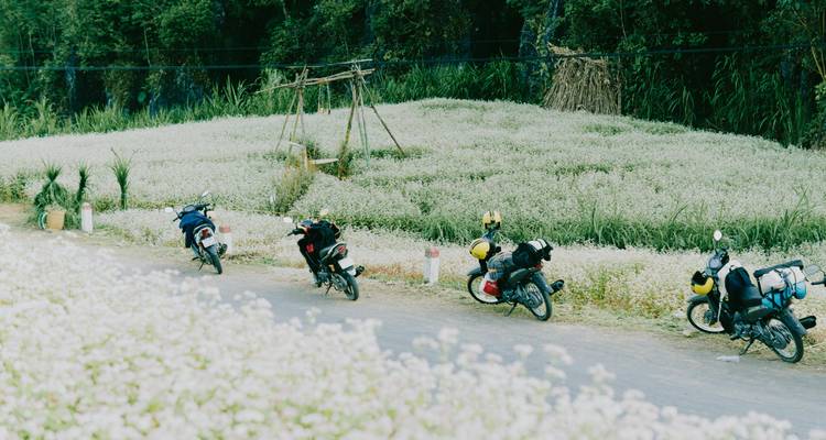 Ha Giang Loop Small Group Motorbike Adventure from Hanoi - Découvrez les destinations incontournables - Up Travel Vietnam 1