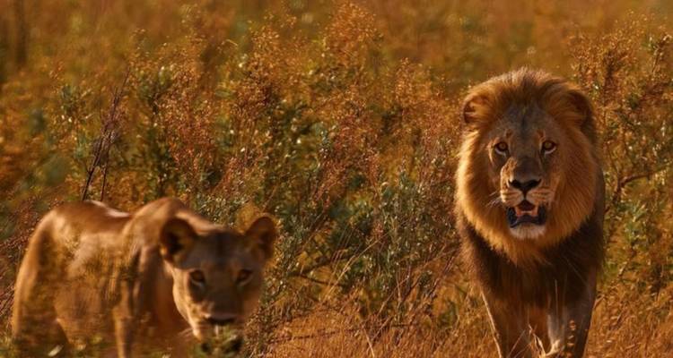 4-Day Victoria Falls Classic Tour - Knap Tours Limited 8